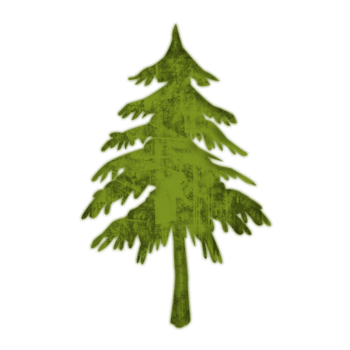 Evergreen Branches PNG Transparent Images Free Download