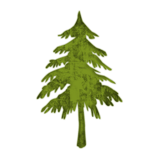 Evergreen Branches PNG Transparent Images Free Download, Vector Files