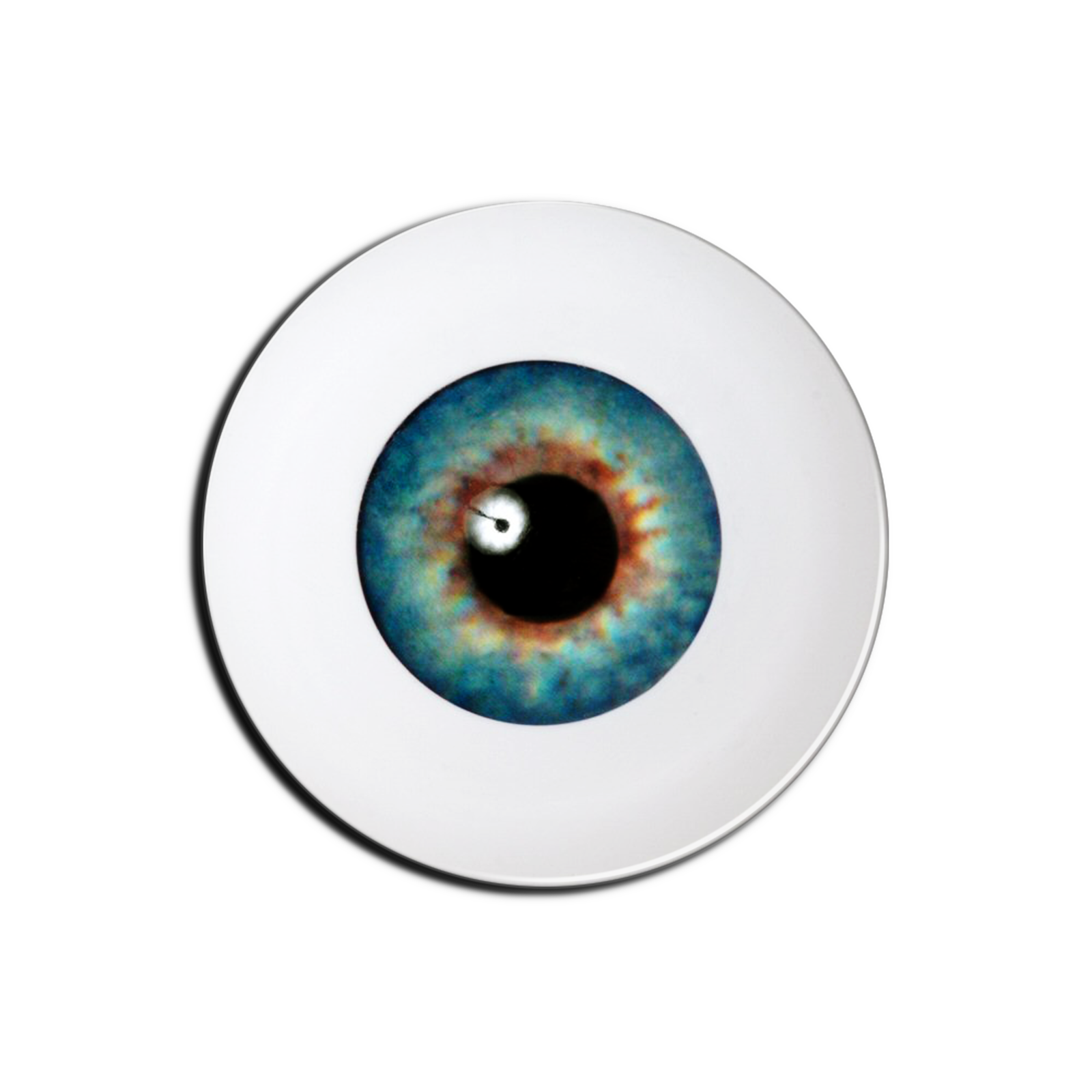 Eye Ball PNG Transparent Background, Free Download 42310 FreeIconsPNG