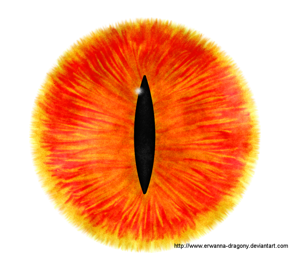 Eye PNG, Eye Transparent Background - FreeIconsPNG