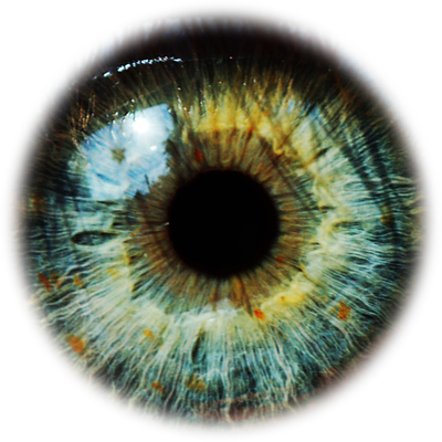 Eyes Png 400x400, 438.05 KB, Eye PNG Download - FreeIconsPNG