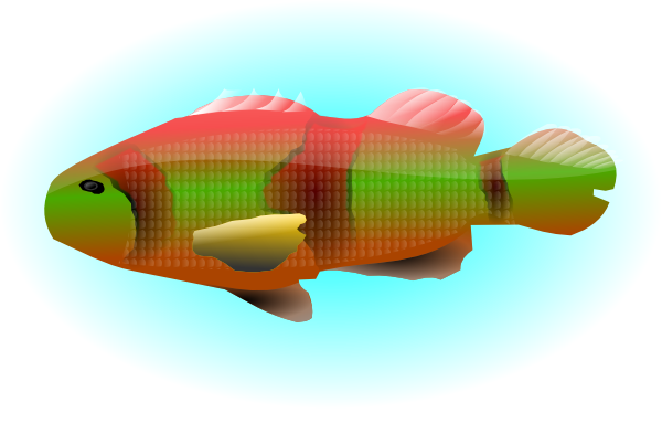 Fish In Water
