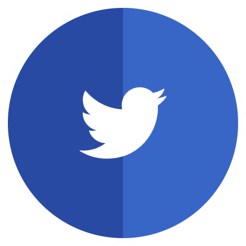 flat twitter icon