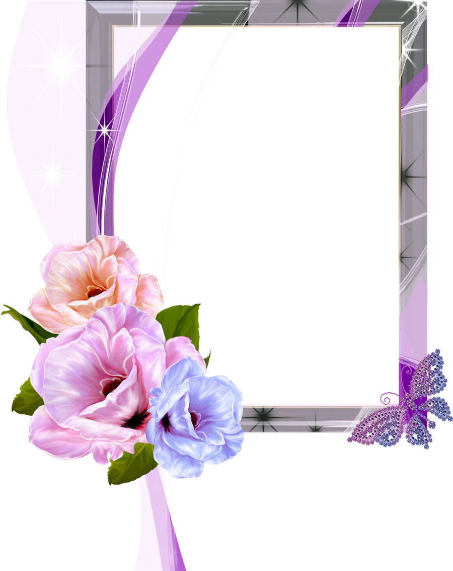 Floral Photo Frame PNG Transparent Background, Free Download 24584