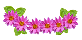Flower Crown Clip Art Png