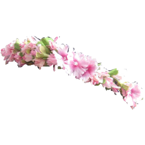 Flower crown png #42598 - Free Icons and PNG Backgrounds