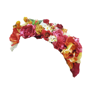 30+ Top For Transparent Background Orange Flower Crown Png - Makayla Mansom