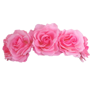 Flower Crown PNG, Flower Crown Transparent Background - FreeIconsPNG