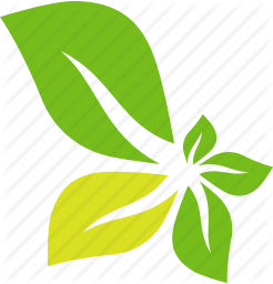 flower leaves icon png