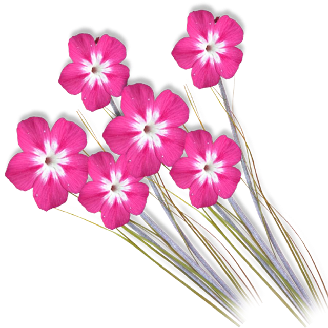 download background png photoshop