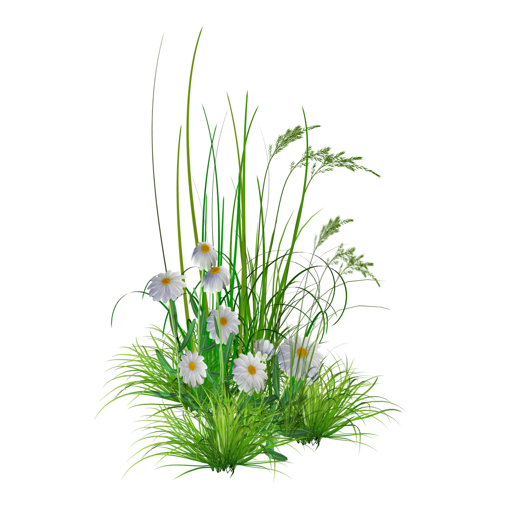 Flower Hd Background PNG Transparent Background, Free Download #17955 -  FreeIconsPNG