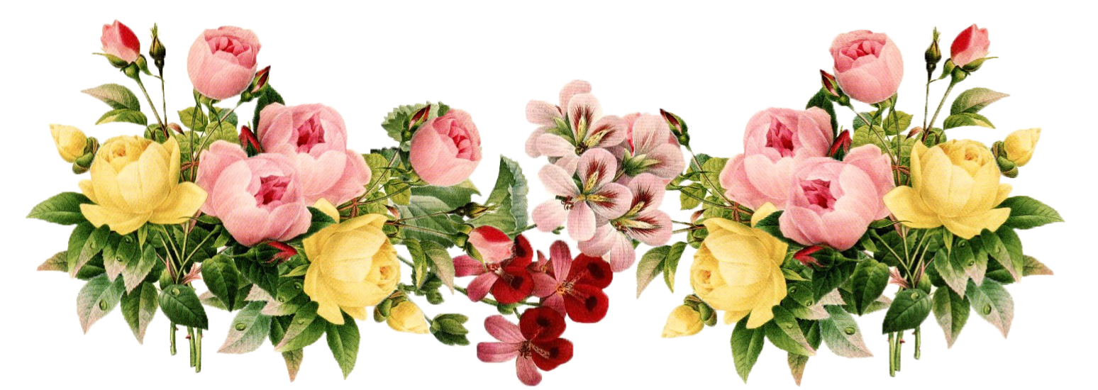 Download Picture Flower PNG Transparent Background, Free Download