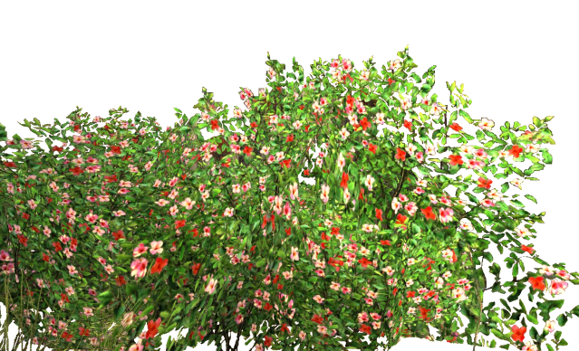 Flowers Garden Bush PNG Transparent Background, Free Download #2830 -  FreeIconsPNG