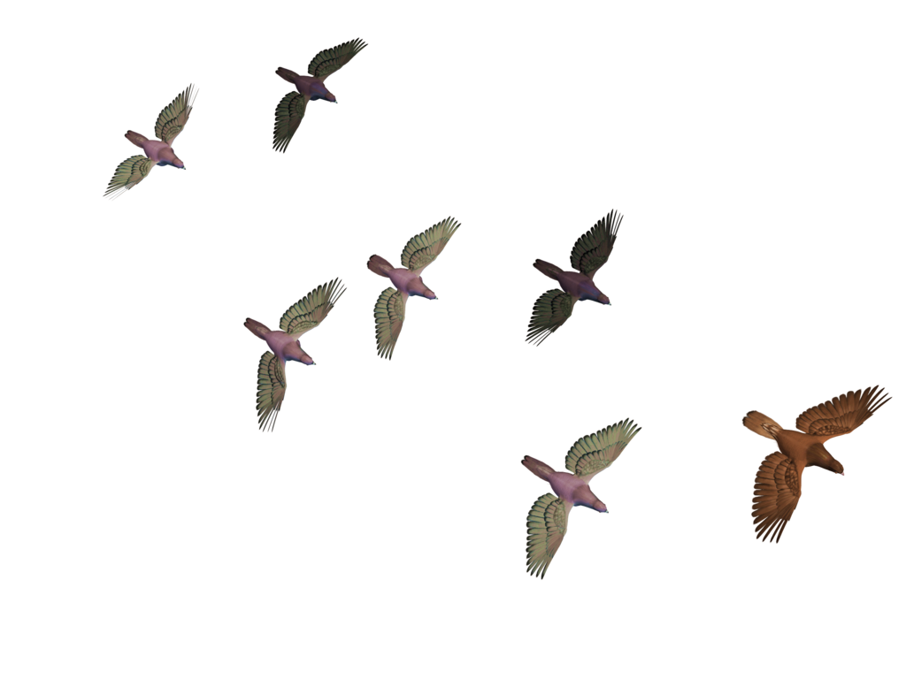 Flying Birds PNG Transparent Background, Free Download #3494 - FreeIconsPNG