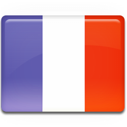 France Flag .ico