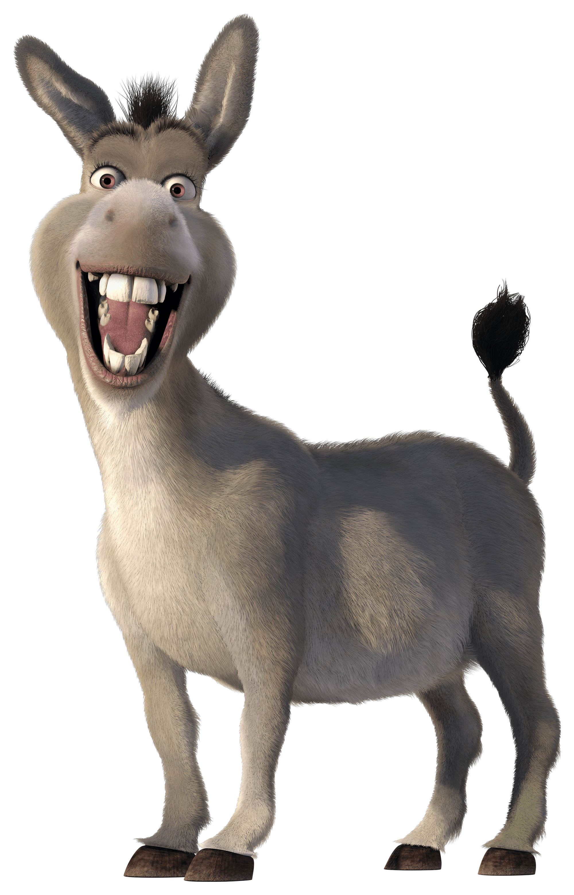 Funny, donkey, shrek character, download free donkey transparent PNG images for y...