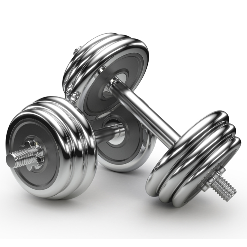 Galleries Related: Gym , Gym Icon Vector , PNG Transparent Background, Free  Download #295 - FreeIconsPNG