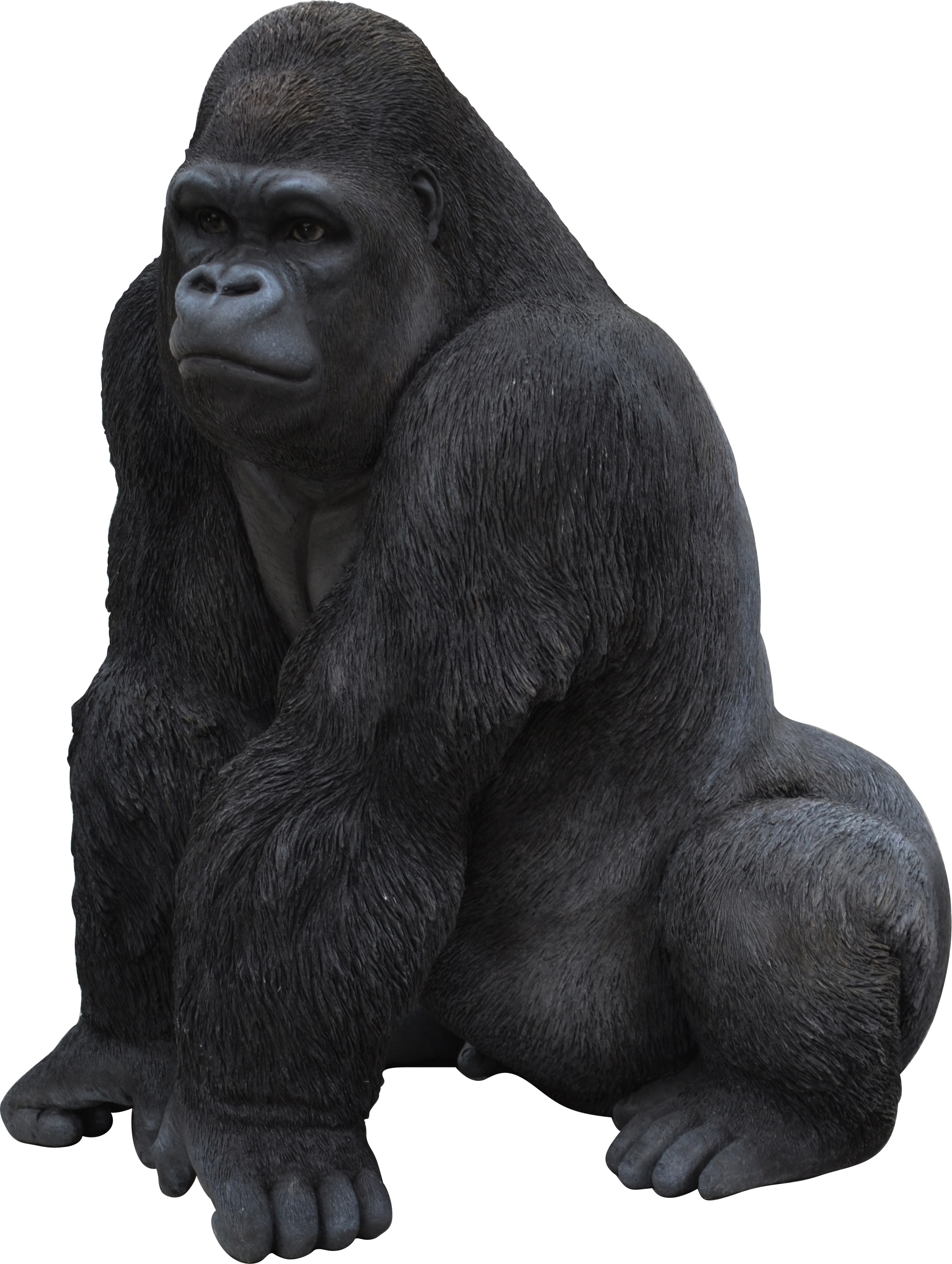 Gorilla PNG, Gorilla Transparent Background - FreeIconsPNG