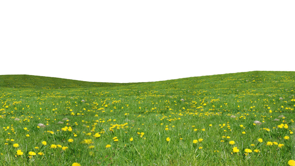 Grass Cartoon PNG Transparent Background, Free Download #4759 - FreeIconsPNG