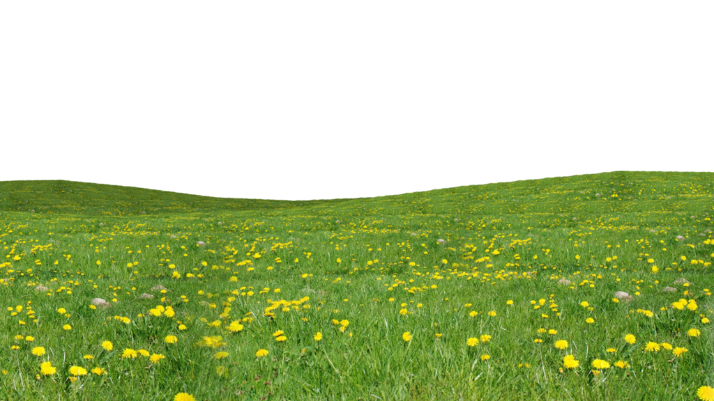 Grass Cartoon PNG Transparent Background, Free Download #4759 - FreeIconsPNG Grass Cartoon PNG Transparent Background, Free Download #4759 - FreeIconsPNG