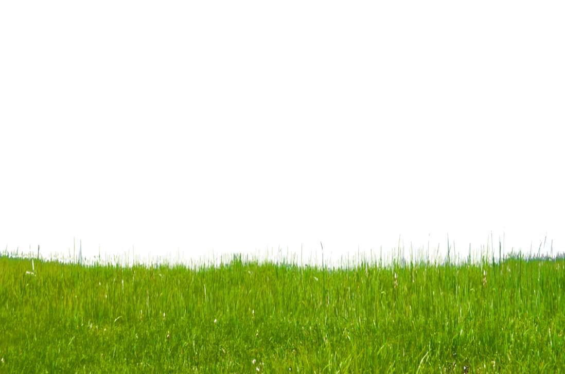 Grass PNG, Grass Transparent Background FreeIconsPNG