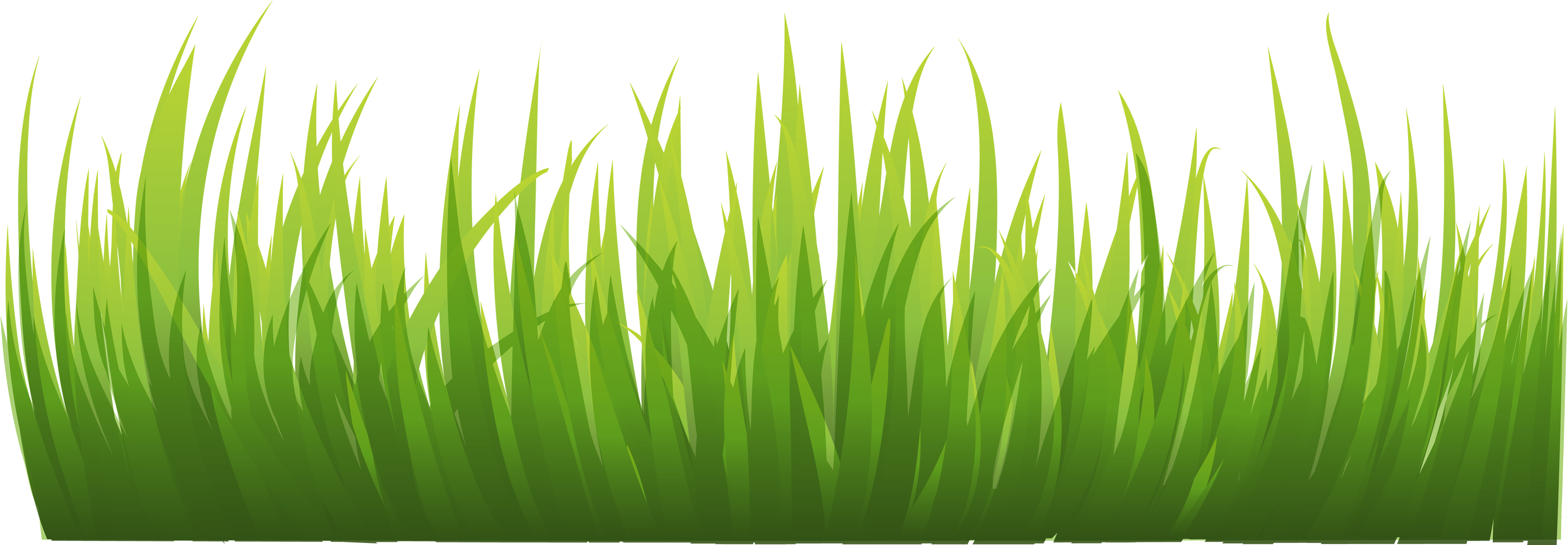 Grass Image, Green Grass Picture PNG Transparent Background, Free Download  #44856 - FreeIconsPNG