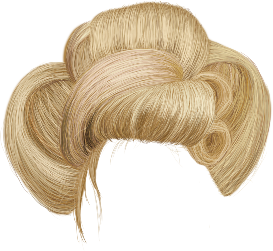 Vector Hair Png 26051 Free Icons And Png Backgrounds