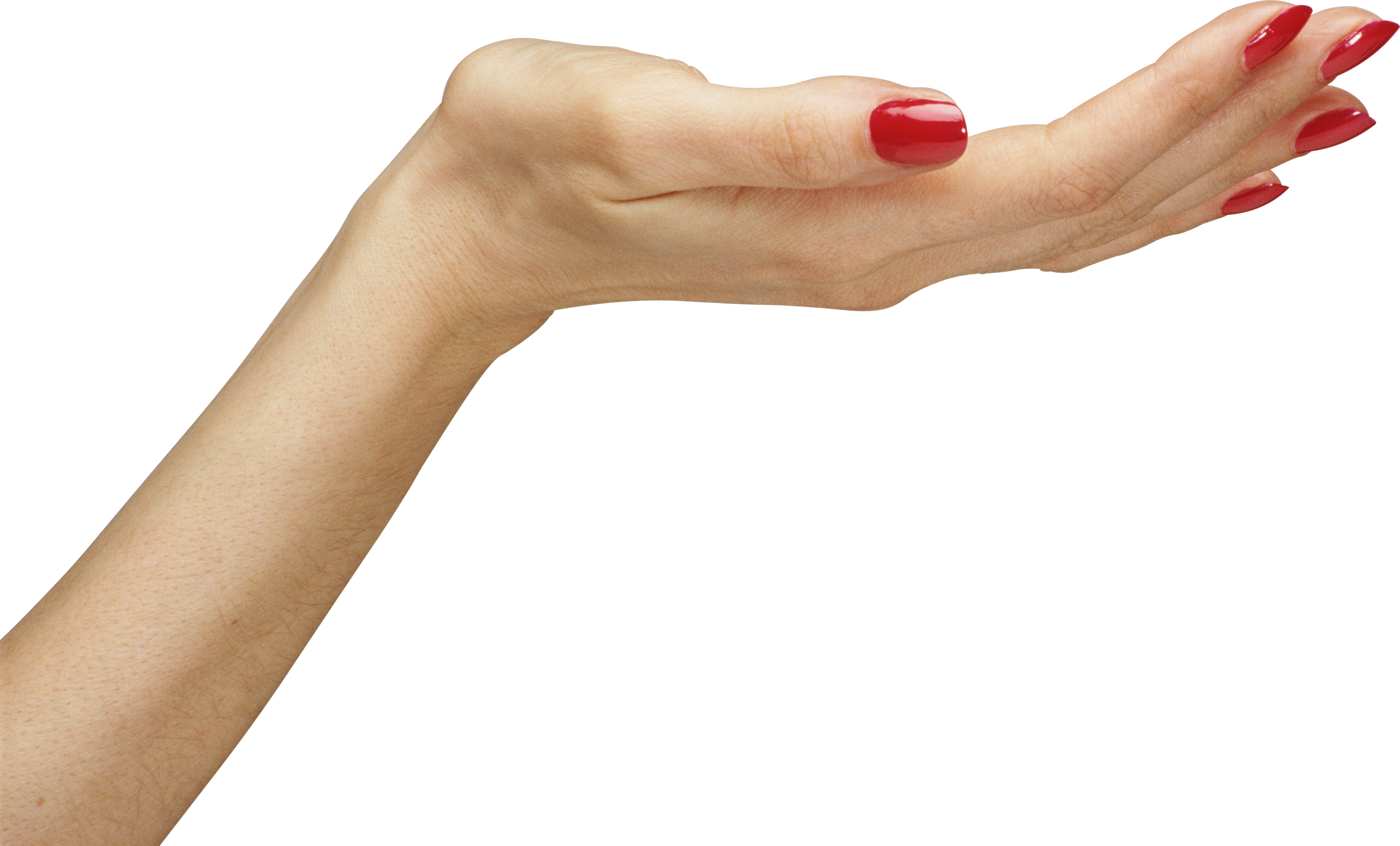 Hands Hand Image Women Hands Png Transparent Background Free