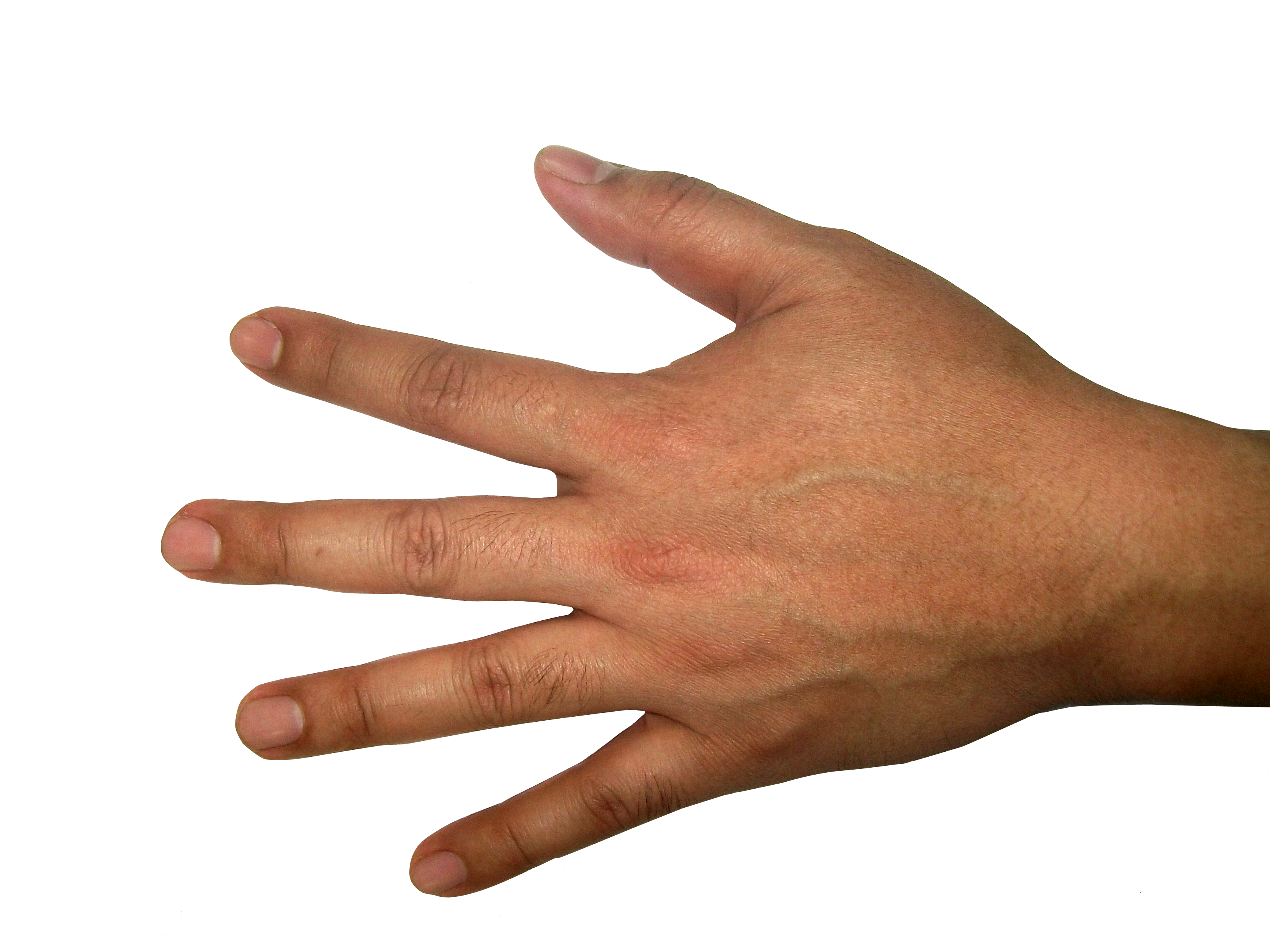 Hands Png Hd Transparent Hands Hd Png Images Pluspng - vrogue.co