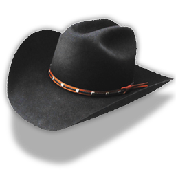 hat black cowboy icon png