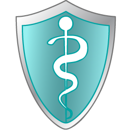 Health care shield Icon