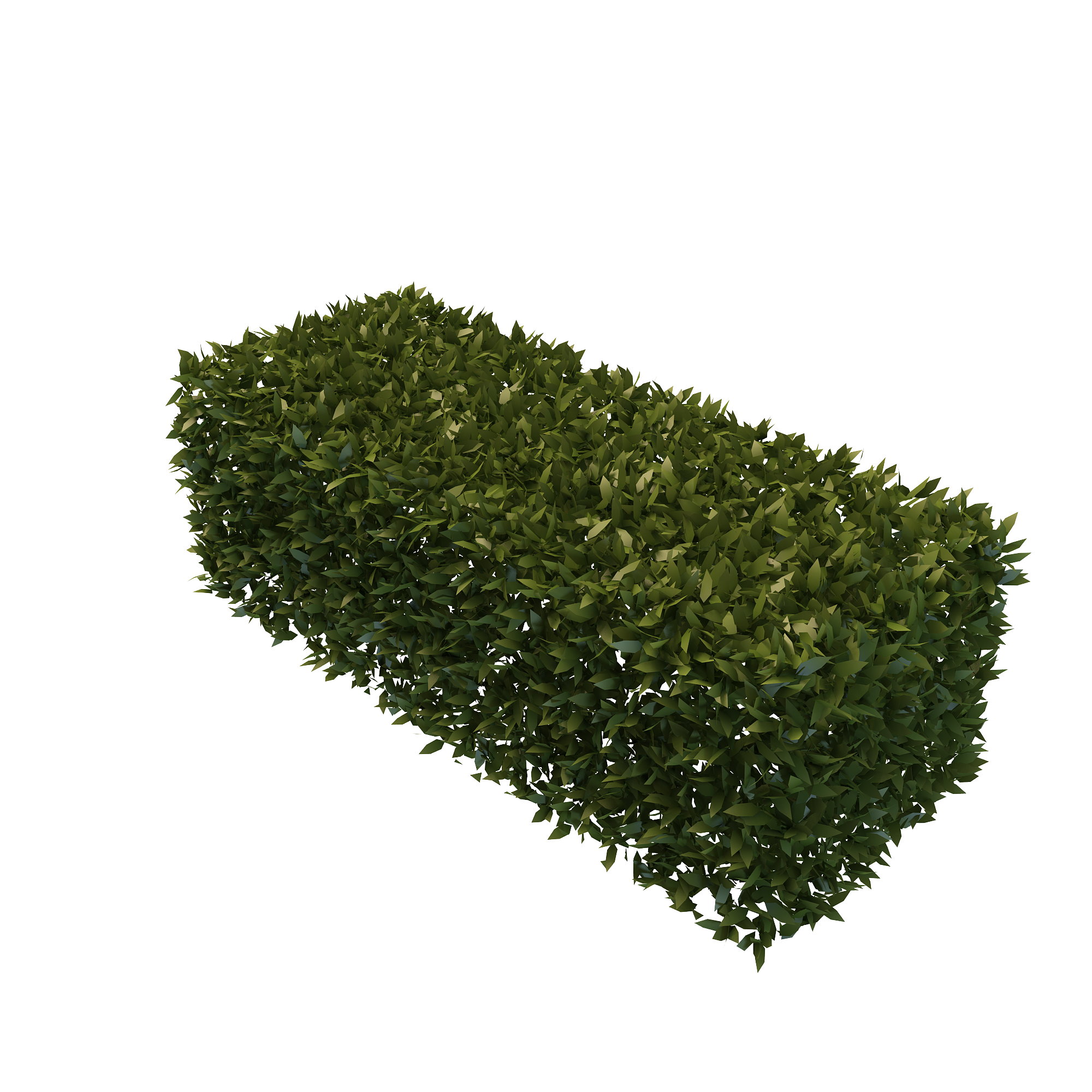 Best Free Hedges Png Image #32440 - Free Icons and PNG ... Best Free Hedges Png Image #32440 - Free Icons and PNG ... - 2000 x 2000 png 2170kB
