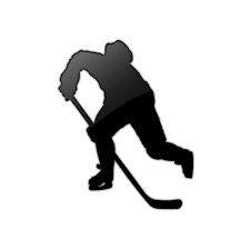 Hıckey Icon PNG Transparent Background, Free Download #3898 - FreeIconsPNG