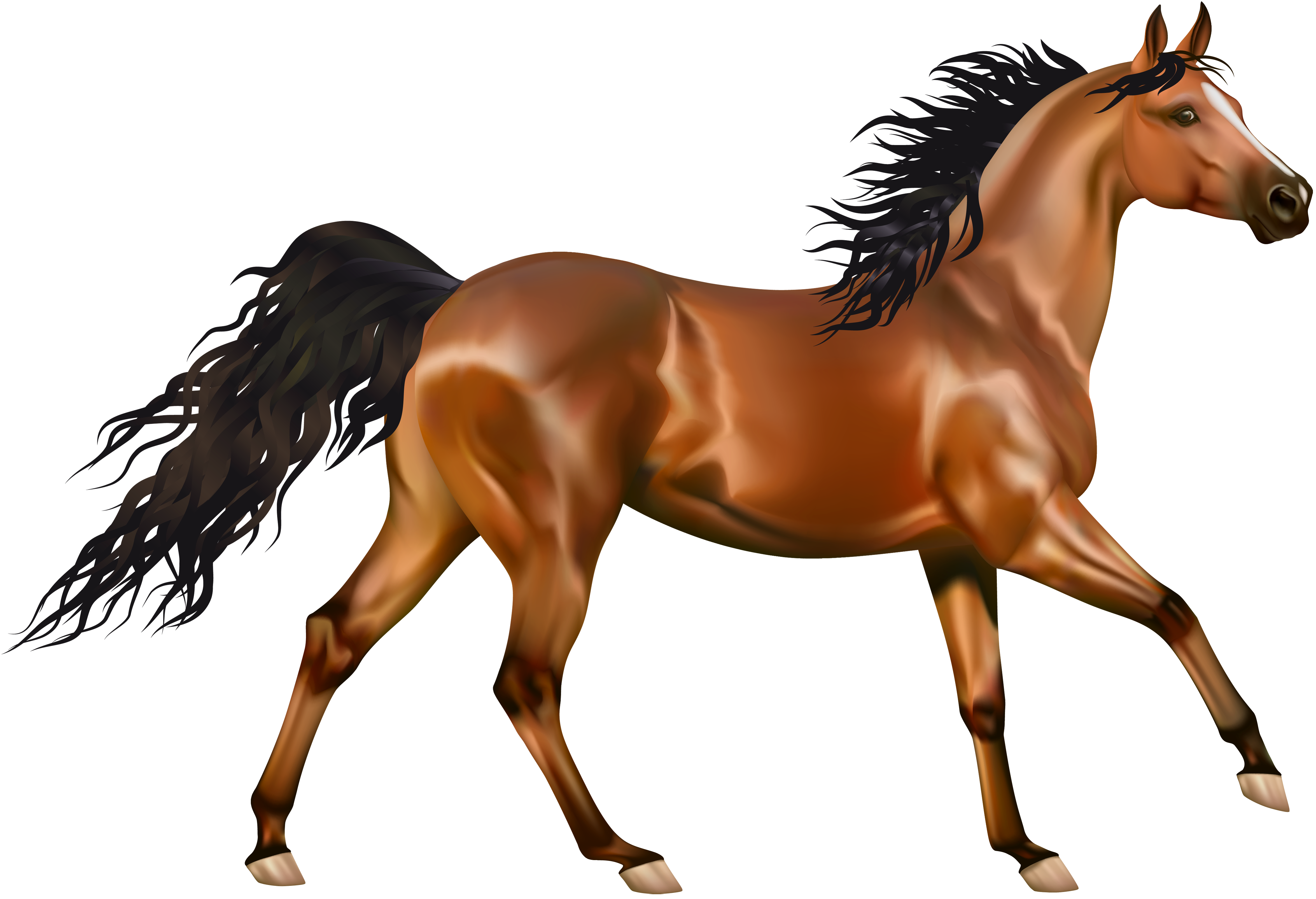 Free Download Horse Png Images