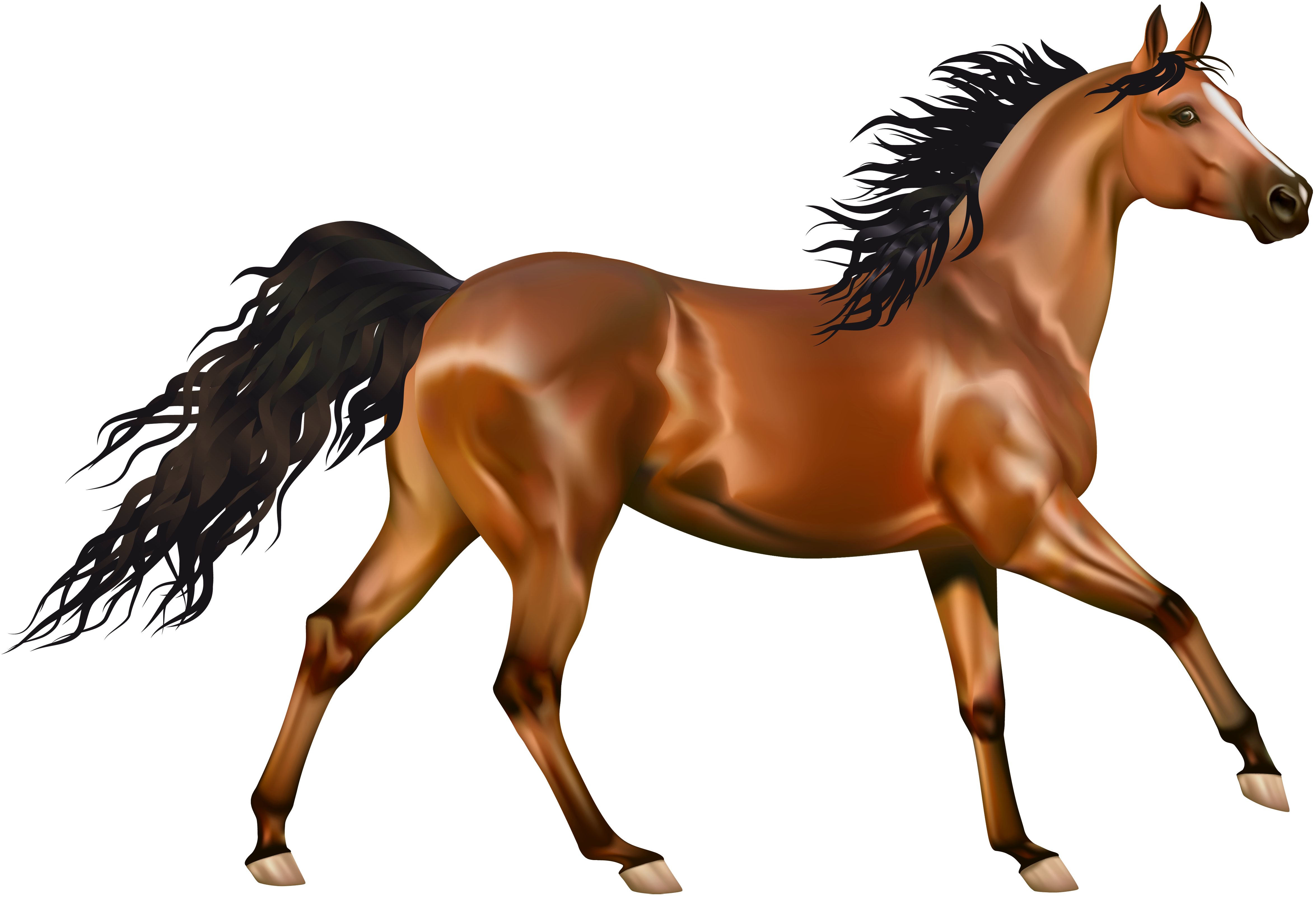 Png Horse