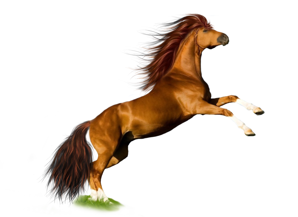 Download Horse Icon