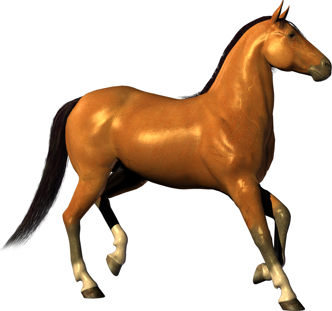 Download Free High quality Horse Png Transparent Images