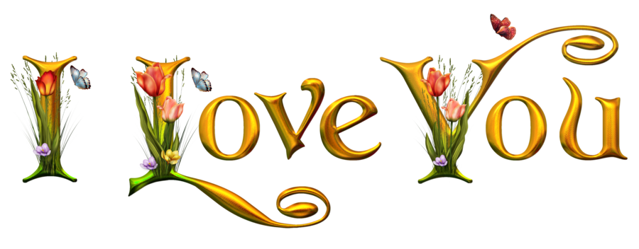 I Love You PNG Transparent Background Free Download 30872 FreeIconsPNG