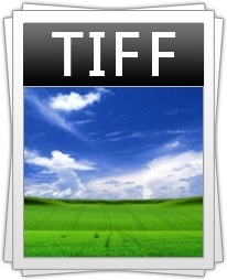 Image Filetype Tiff Icon PNG Transparent Background, Free Download