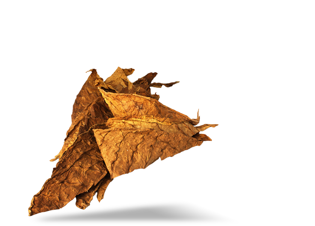 Tobacco Transparent PNG Pictures - Free Icons and PNG Backgrounds