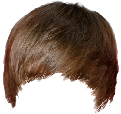 Justin Bieber Hair PNG Transparent Background, Free Download #26062 -  FreeIconsPNG