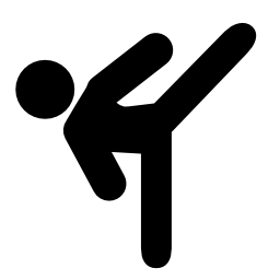 Free High quality Kickboxing Icon