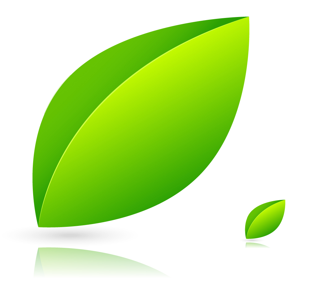 Leaves icon