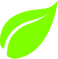 Leaf Free Png Icon