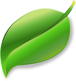 Free Download Leaf Images PNG Transparent Background, Free Download ...