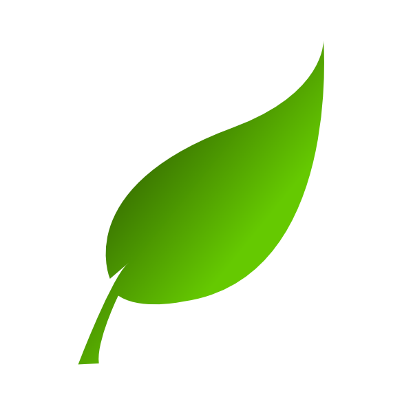 pictures-icon-leave-png-transparent-background-free-download-10686