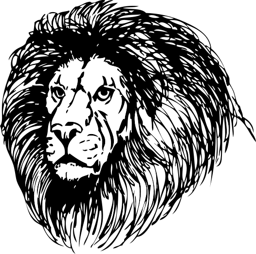 Lion Head Best Clipart Png