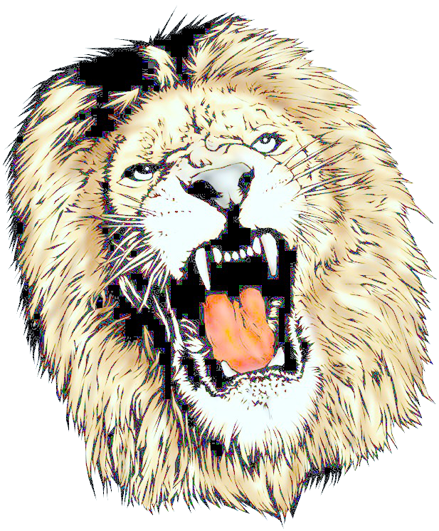 Lion Head Transparent Png Pictures Free Icons And Png Backgrounds