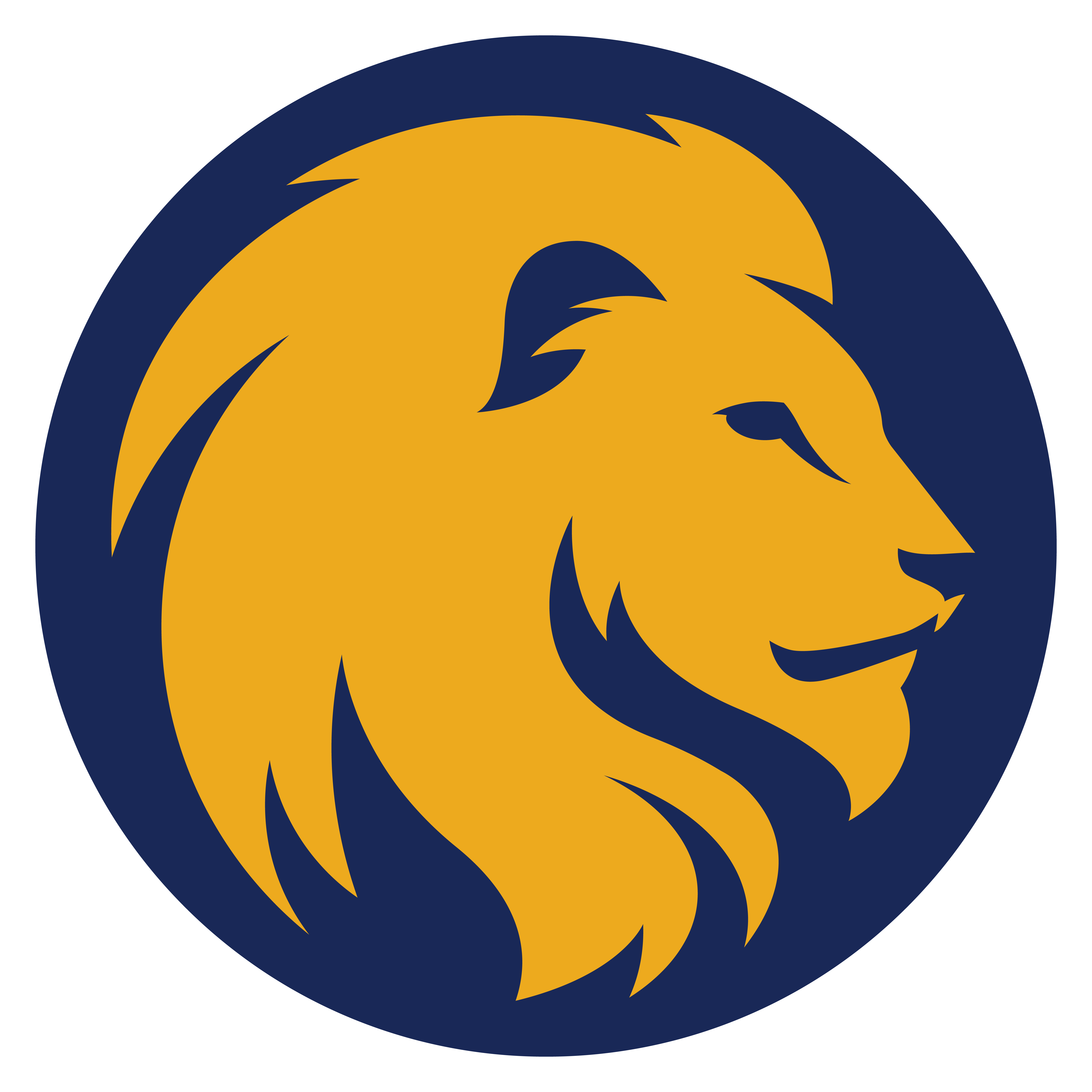 lion head png logo