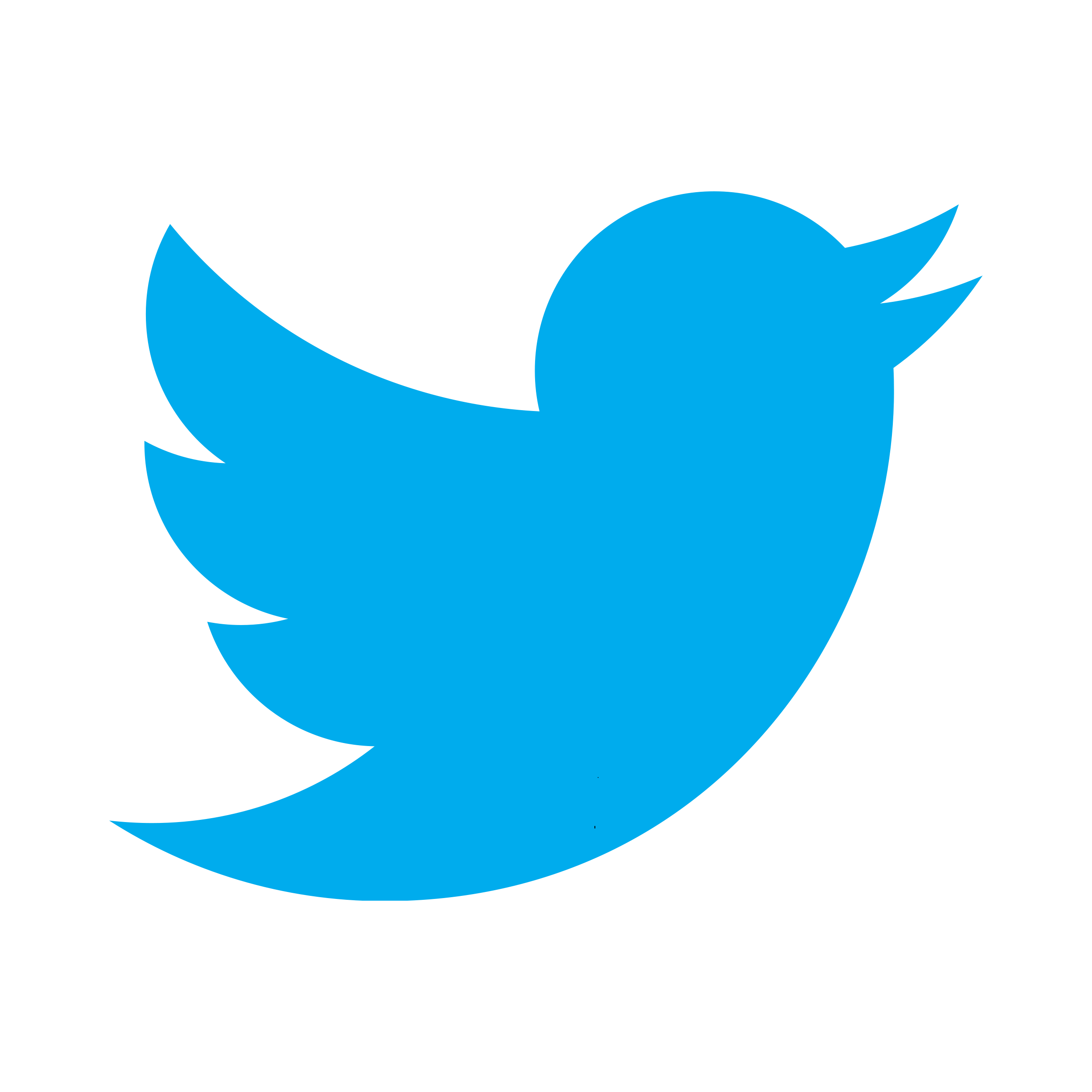 Logo Twitter Icon Symbol